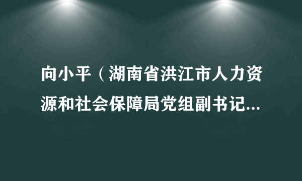 向小平（湖南省洪江市人力资源和社会保障局党组副书记、副局长）