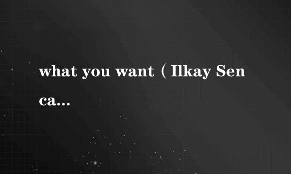 what you want（Ilkay Sencan演唱的歌曲）