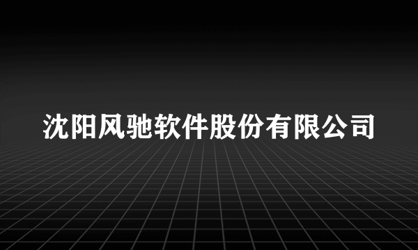 沈阳风驰软件股份有限公司