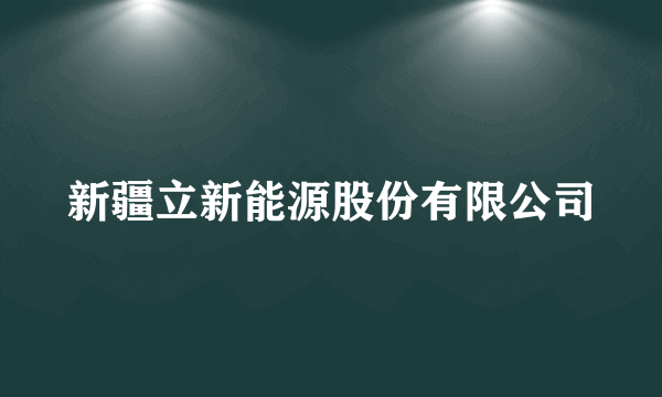 新疆立新能源股份有限公司