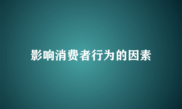 影响消费者行为的因素