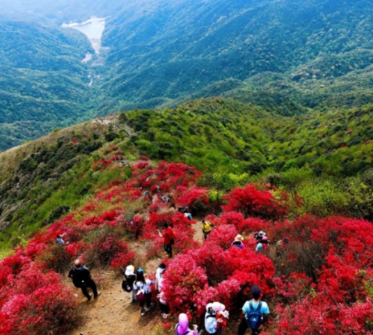 通天蜡烛（广州市从化区山峰名称）