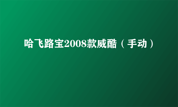 哈飞路宝2008款威酷（手动）