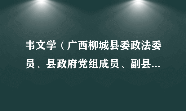 韦文学（广西柳城县委政法委员、县政府党组成员、副县长、县公安局党委书记、局长）