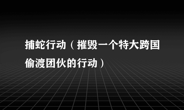 捕蛇行动（摧毁一个特大跨国偷渡团伙的行动）