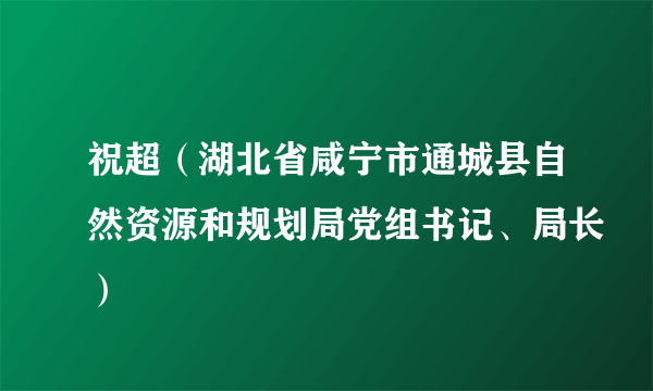 祝超（湖北省咸宁市通城县自然资源和规划局党组书记、局长）