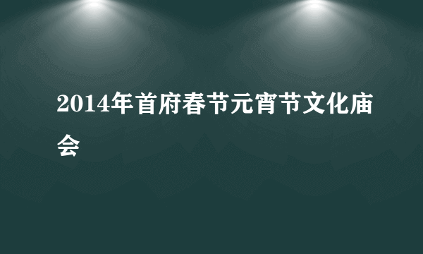 2014年首府春节元宵节文化庙会