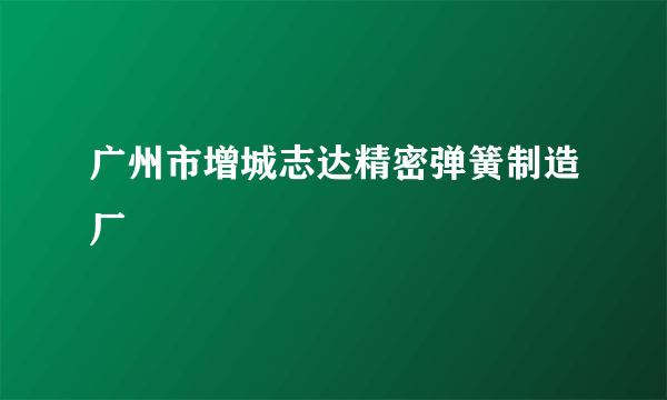 广州市增城志达精密弹簧制造厂