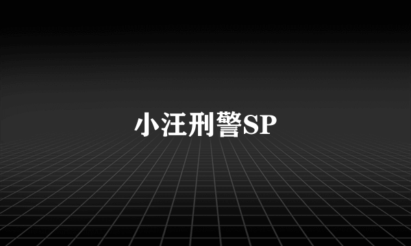 小汪刑警SP