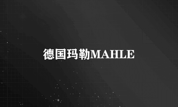 德国玛勒MAHLE