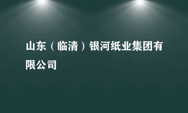 山东（临清）银河纸业集团有限公司