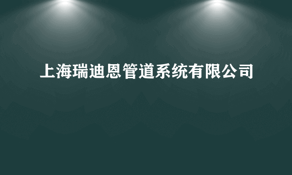 上海瑞迪恩管道系统有限公司