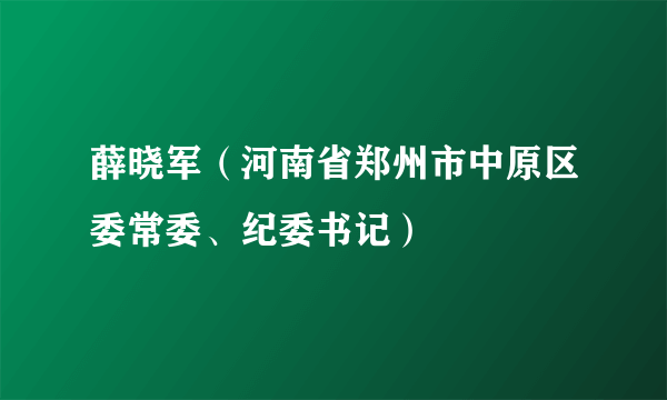 薛晓军（河南省郑州市中原区委常委、纪委书记）