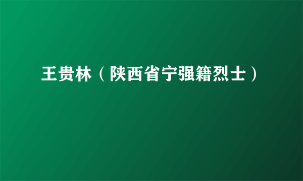 王贵林（陕西省宁强籍烈士）