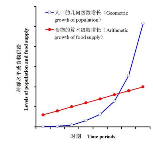 马尔萨斯模型