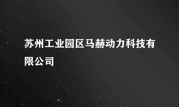 苏州工业园区马赫动力科技有限公司