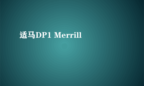 适马DP1 Merrill