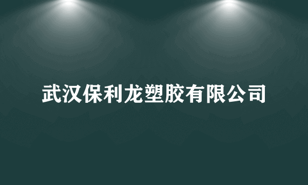 武汉保利龙塑胶有限公司