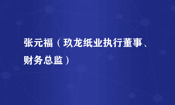 张元福（玖龙纸业执行董事、财务总监）