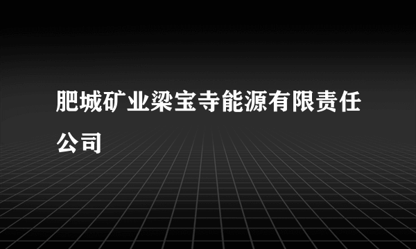 肥城矿业梁宝寺能源有限责任公司