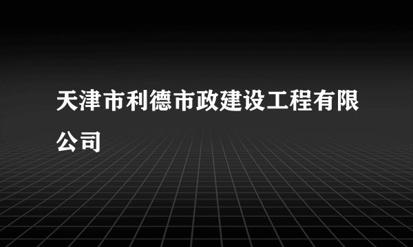 天津市利德市政建设工程有限公司