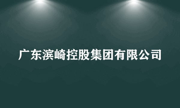 广东滨崎控股集团有限公司