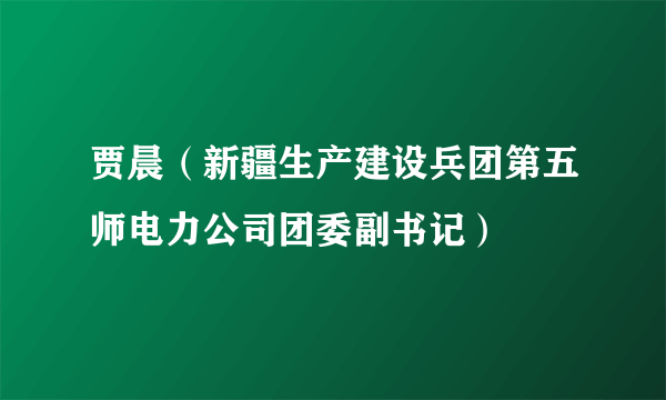 贾晨（新疆生产建设兵团第五师电力公司团委副书记）