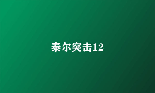 泰尔突击12