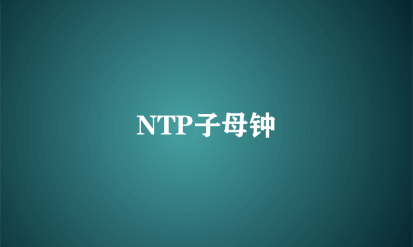 NTP子母钟