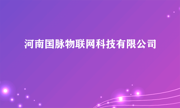 河南国脉物联网科技有限公司