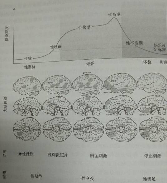 做爱网络