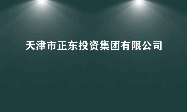 天津市正东投资集团有限公司