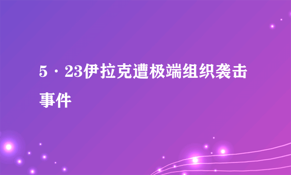 5·23伊拉克遭极端组织袭击事件