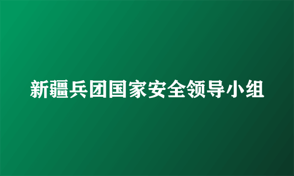 新疆兵团国家安全领导小组