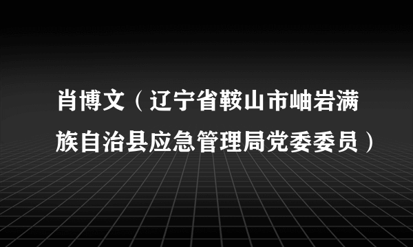 肖博文（辽宁省鞍山市岫岩满族自治县应急管理局党委委员）