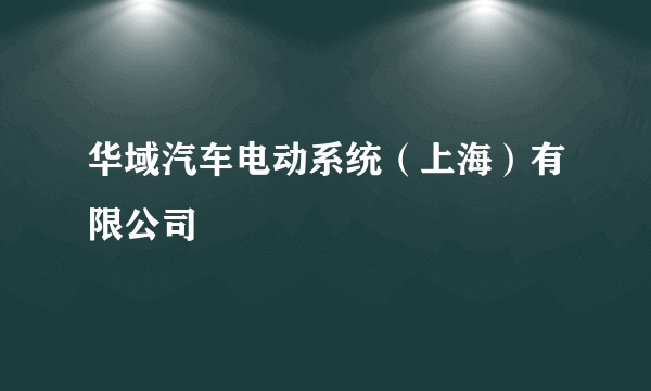 华域汽车电动系统（上海）有限公司