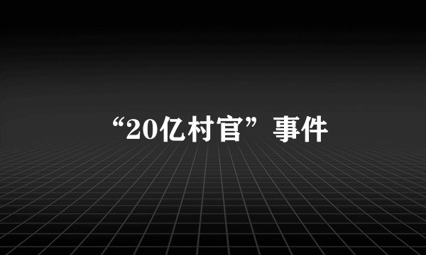 “20亿村官”事件