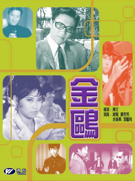 金鸥（1967年陈文执导的动作电影）