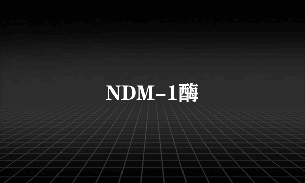 NDM-1酶