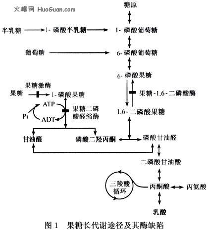 先天性代谢缺陷