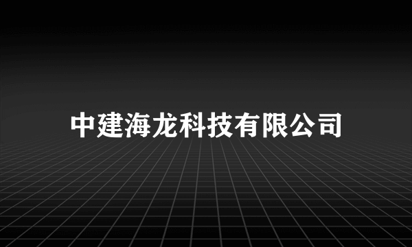 中建海龙科技有限公司