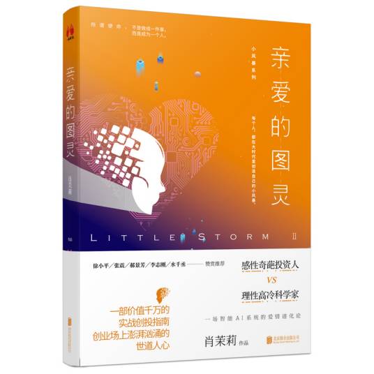 小风暴Ⅱ：亲爱的图灵