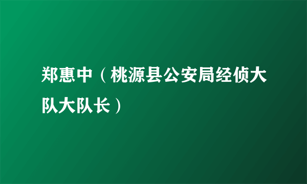 郑惠中（桃源县公安局经侦大队大队长）