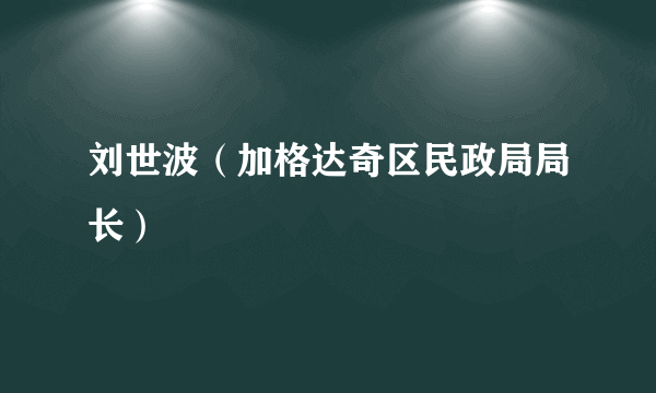 刘世波（加格达奇区民政局局长）