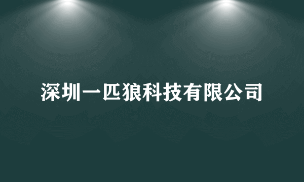 深圳一匹狼科技有限公司