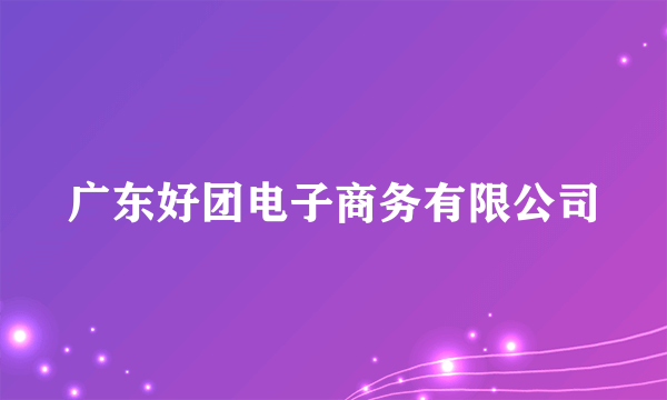 广东好团电子商务有限公司