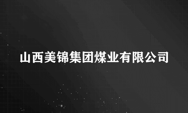 山西美锦集团煤业有限公司