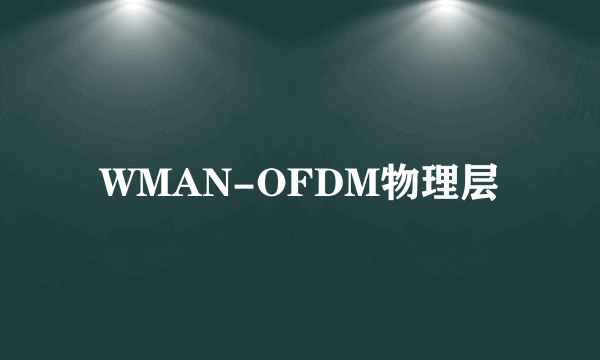 WMAN-OFDM物理层