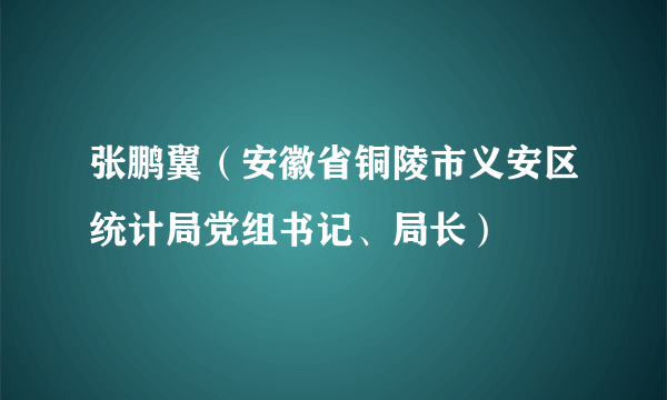 张鹏翼（安徽省铜陵市义安区统计局党组书记、局长）