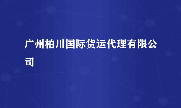 广州柏川国际货运代理有限公司